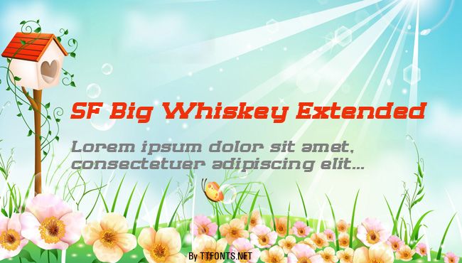 SF Big Whiskey Extended example